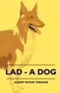 Lad - A Dog - Preview