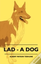 Capa do artigo Lad - A Dog