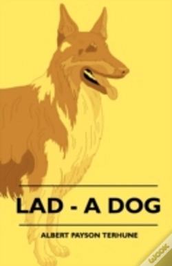 Capa do artigo Lad - A Dog