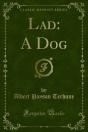 Lad: A Dog - Preview