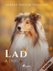 Capa do artigo Lad: A Dog