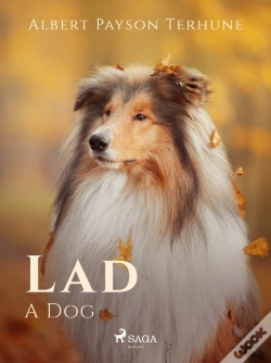 Capa do artigo Lad: A Dog