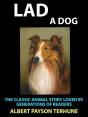 Lad A Dog - Preview
