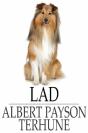 Lad - Preview