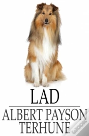 Capa do artigo Lad