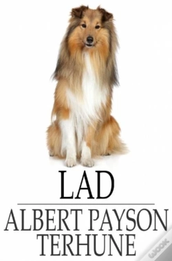 Capa do artigo Lad