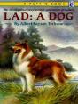 Lad - Preview