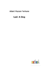 Lad - Preview