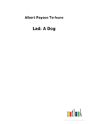 Lad - Preview