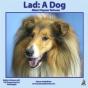 Lad - Preview