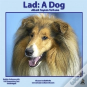 Capa do artigo Lad