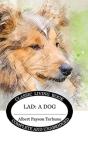 Lad - Preview