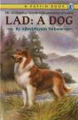 Lad - Preview