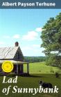 Lad Of Sunnybank - Preview