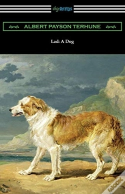 Capa do artigo Lad