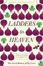 Ladders To Heaven - Preview