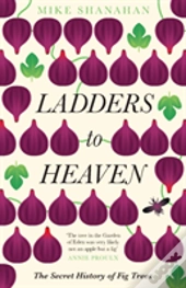Ladders To Heaven