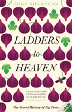 Capa do artigo Ladders To Heaven