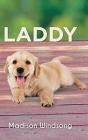 Laddy - Preview
