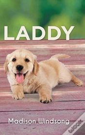 Capa do artigo Laddy