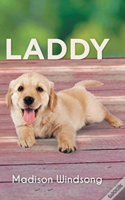 Capa do artigo Laddy