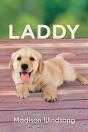 Laddy - Preview