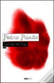 Capa do artigo Ladrão de Fogo