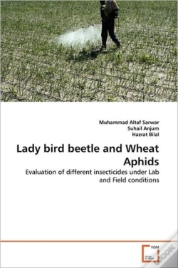 Capa do artigo Lady Bird Beetle And Wheat Aphids