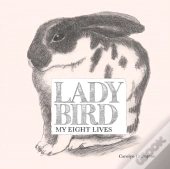 Ladybird