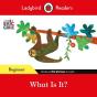 Ladybird Readers Beginner Level - Eric Carle - What Is It? (Elt Graded Reader) - Preview