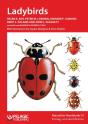 Ladybirds - Preview