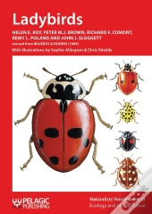 Ladybirds