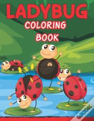 Ladybug Coloring Book