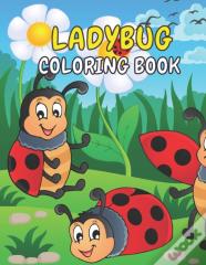 Ladybug Coloring Book