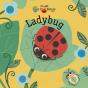 Ladybug - Preview