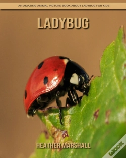 Capa do artigo Ladybug