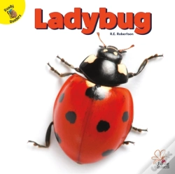 Capa do artigo Ladybug