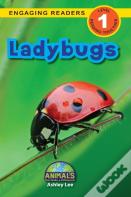 Ladybugs