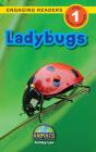 Ladybugs - Preview