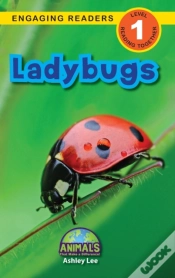 Capa do artigo Ladybugs