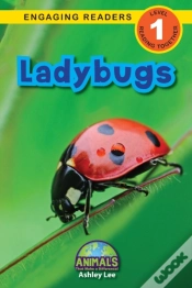 Capa do artigo Ladybugs