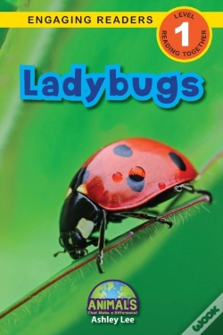 Capa do artigo Ladybugs
