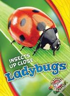 Ladybugs