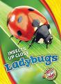 Ladybugs - Preview
