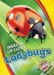 Capa do artigo Ladybugs