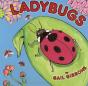 Ladybugs - Preview