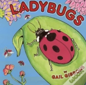 Capa do artigo Ladybugs