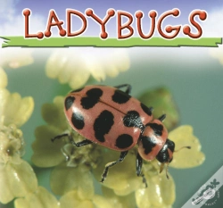 Capa do artigo Ladybugs