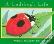 Capa do artigo Ladybugs Life A