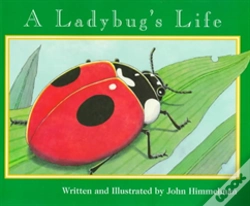 Capa do artigo Ladybugs Life A